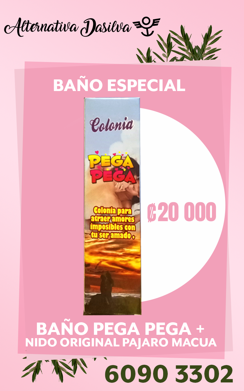 https://alternativadasilva.com/wp-content/uploads/2025/08/pega-pega-2.png